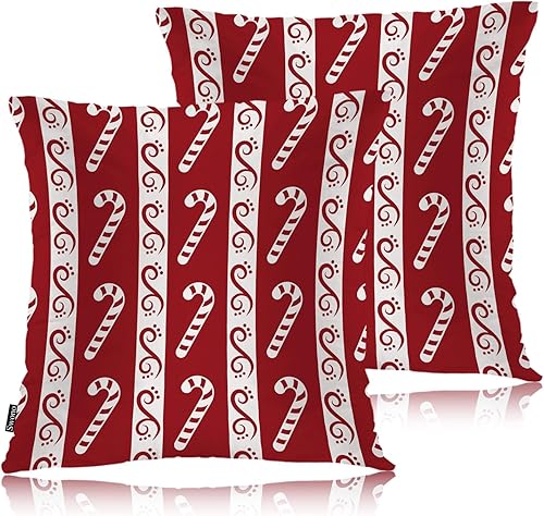 Swono Juego de 2 fundas de almohada de 18 x 18 pulgadas, fundas de almohada decorativas para interiores y exteriores, sofá, dormitorio, sala de