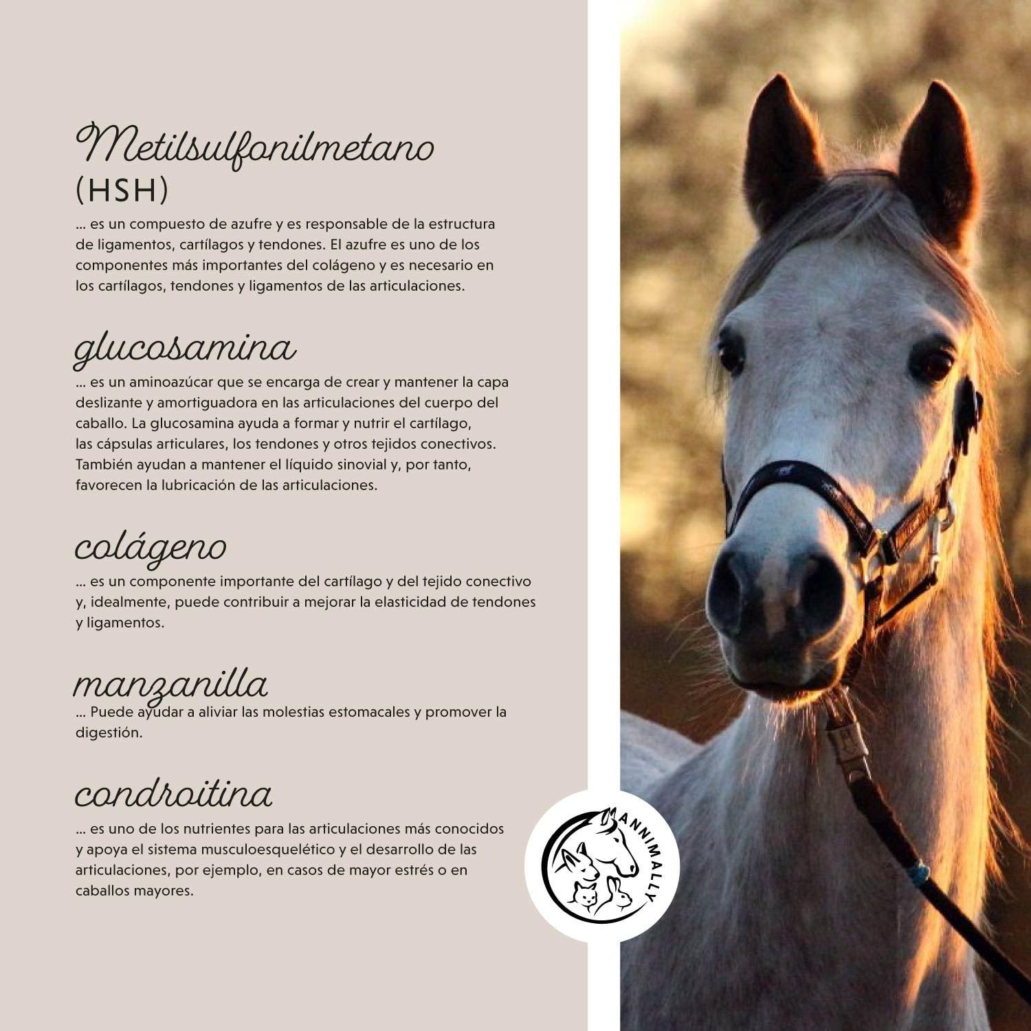 Polvo para articulaciones para caballos 850g con colágeno, manzanilla, MSM (azufre), glucosamina, ácido hialurónico, condroitina - Complemento alimenticio para fortalecer las articulaciones caballo