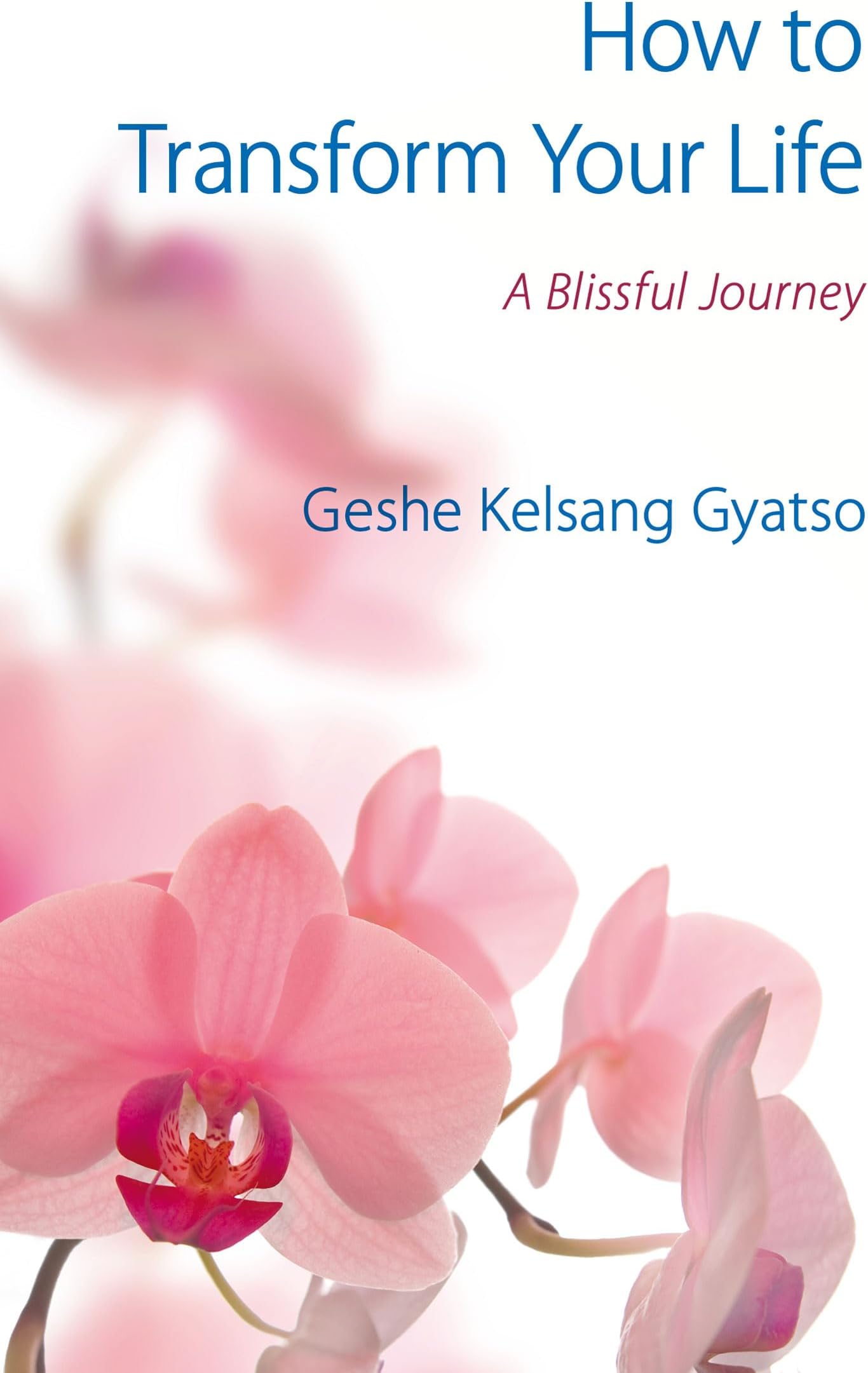 How to Transform Your Life: A Blissful Journey