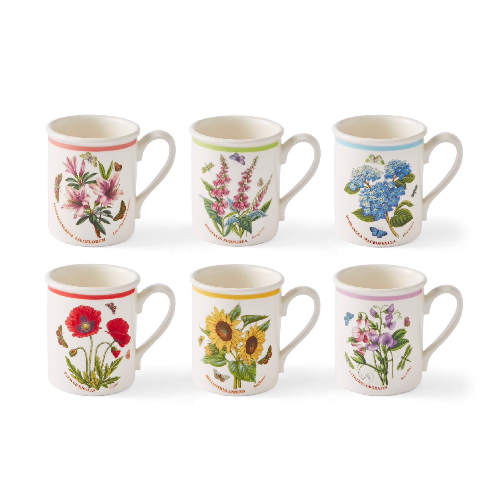 Botanic Garden Meadow Breakfast Mugs - 8.5 Oz, Set of 6 | Assorted Floral Fine Earthenwar…