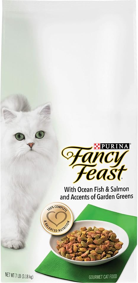 fancy food cat