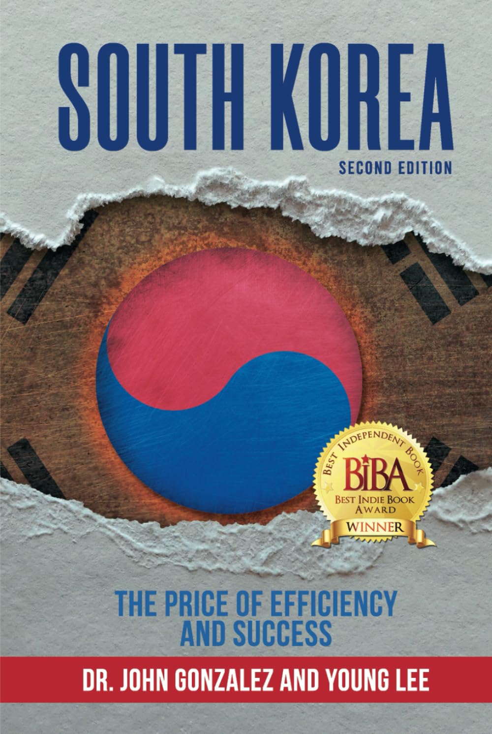 SOUTH KOREA: The Price of Efficiency and Success