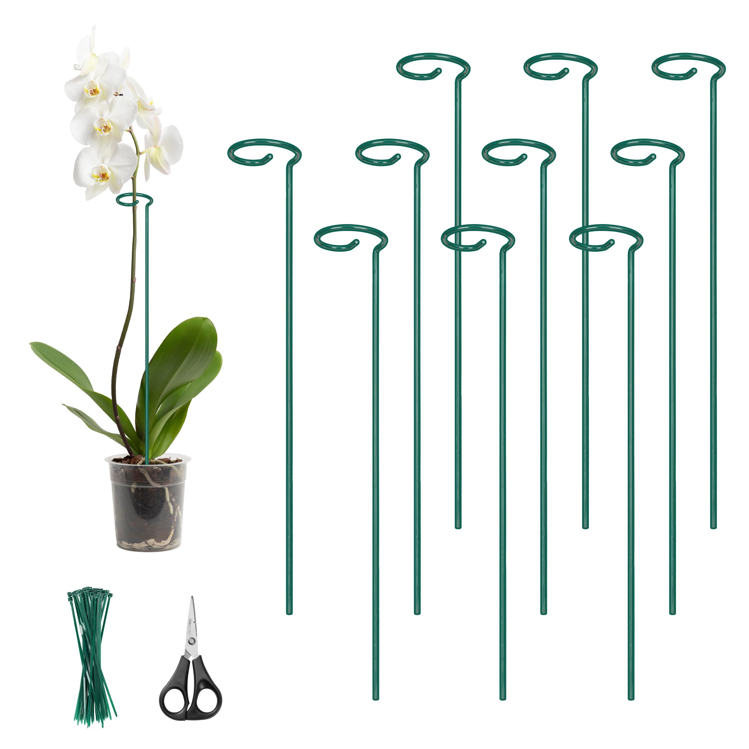 Kingsyard 24-Inch Plant Support Stake
