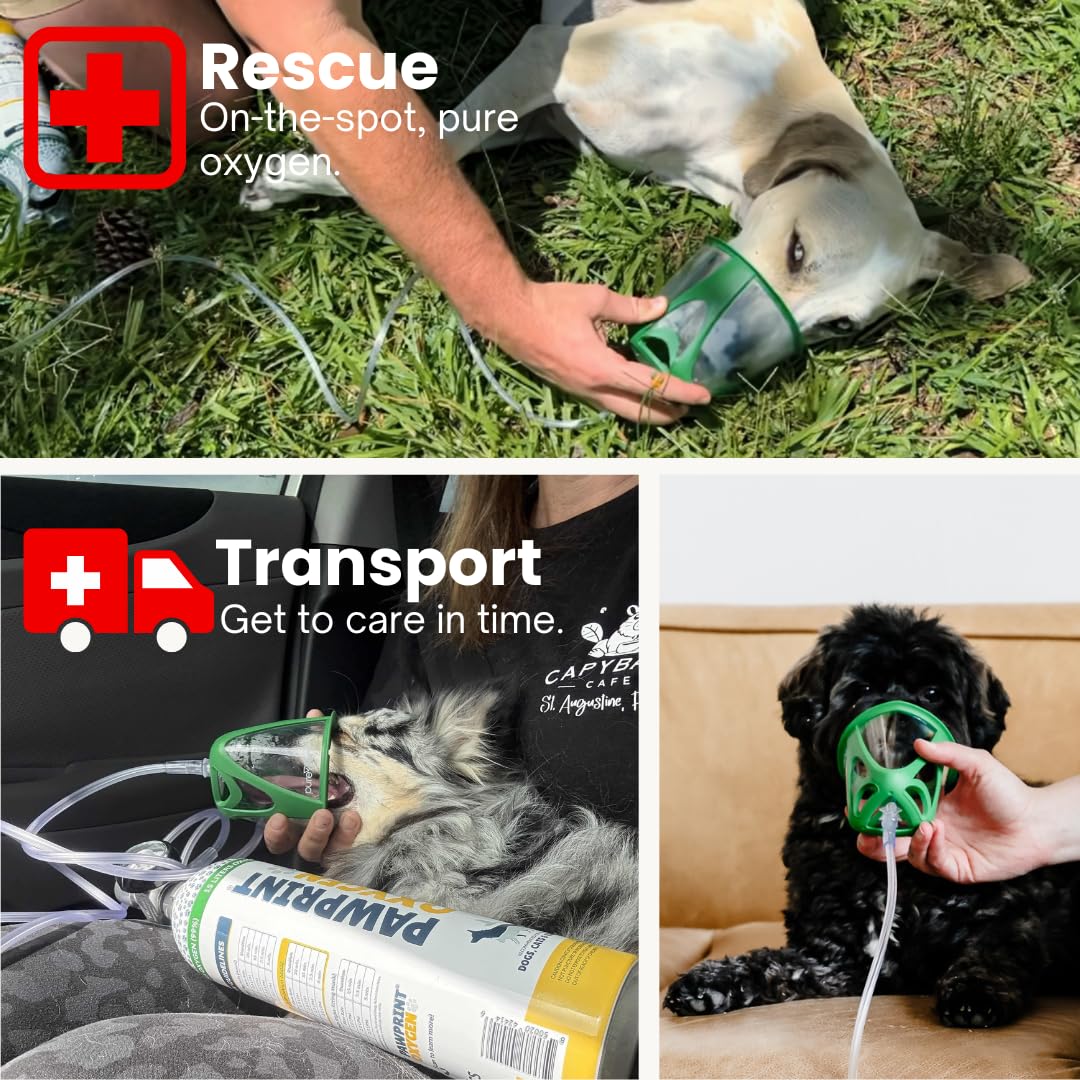 Dog Rescue Oxygen Kit - Portable Oxygen Supply for Pets for Transport and Rescue - Oxygen, Mask, Regulator, Tubing & Travel Case Included (5.0-10.0 kg)