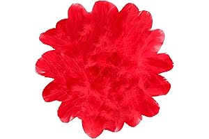 HaiMay Red Feathers Bulk 450 Pieces