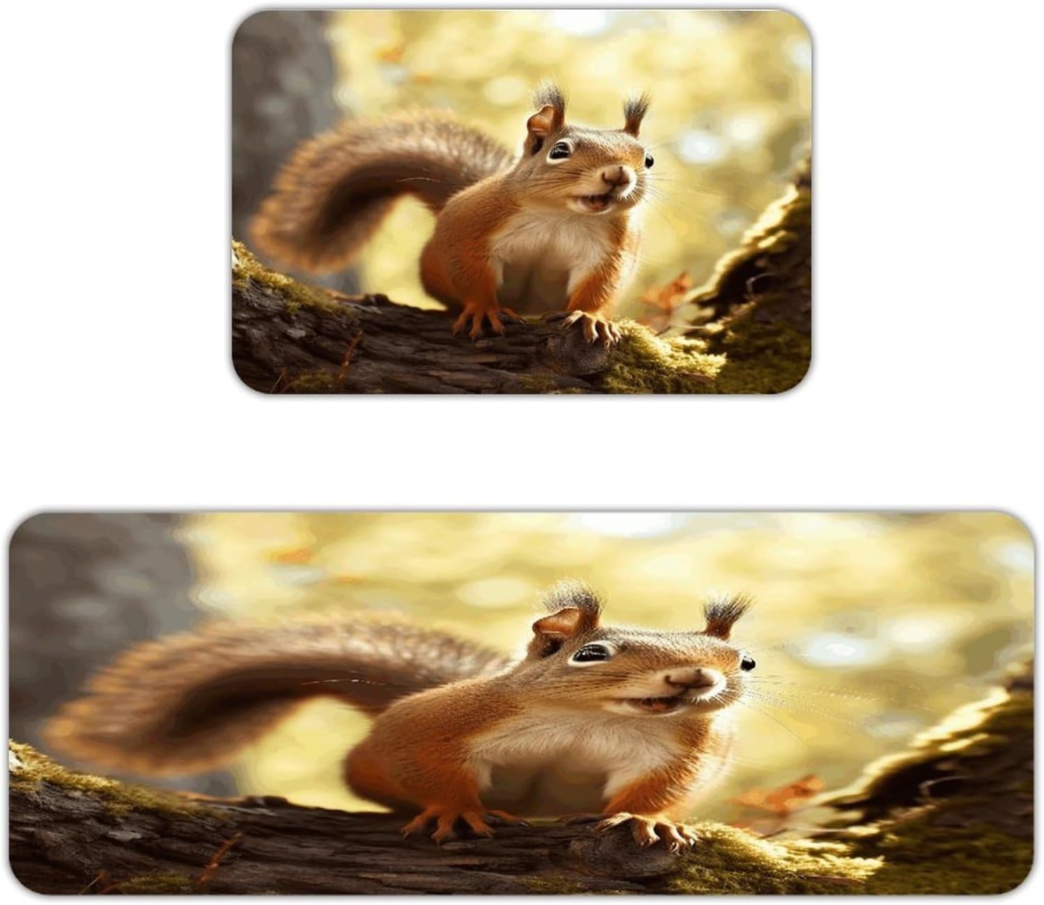 Funny Squirrel Kitchen Mat Washable Non Slip Rugs Soft Kitchen Mats for Floor Set of 2 PCS Cushioned Absorbent Runner Standing Rugs for Home Sink Laundry Office