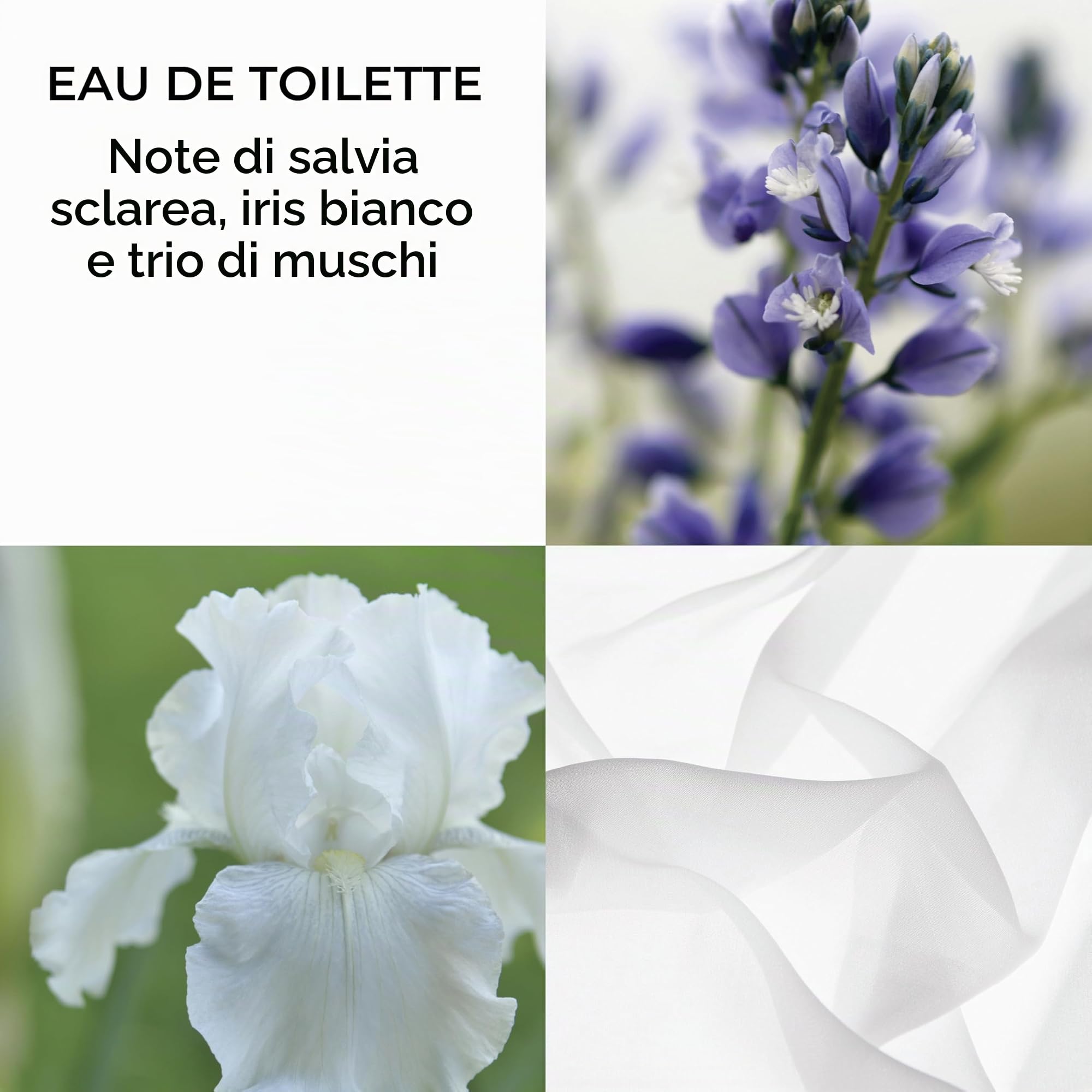 Elizabeth Arden White Tea Collection Coffret (10 ml x 3) Set regalo da 3 pezzi, fragranza regalo per le donne