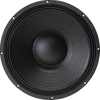 B&C 21SW152-8 21-Inch 8 Ohm Neodymium Subwoofer, Black