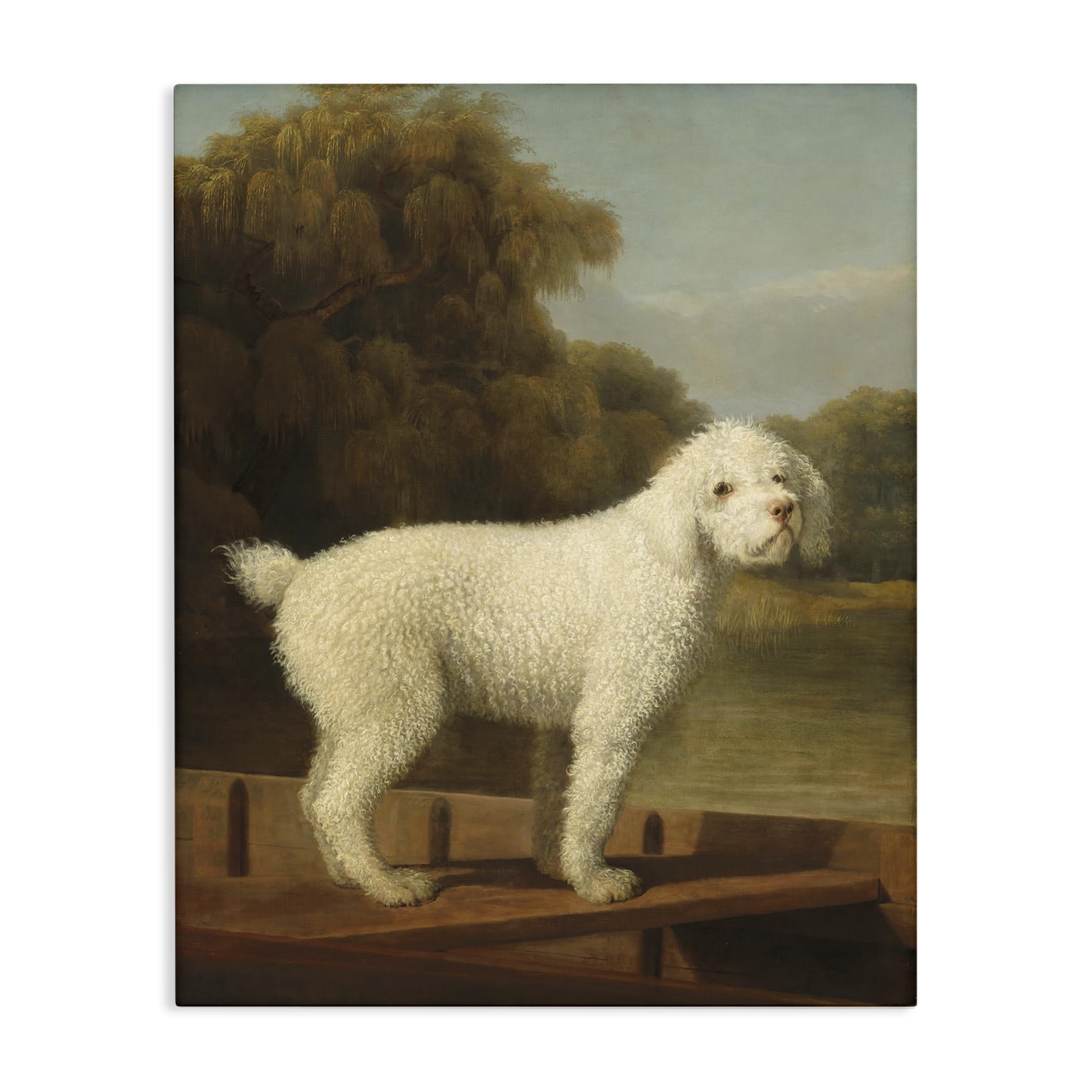 Stupell Industries Unframed 'White Poodle In A Punt'| Canvas Art