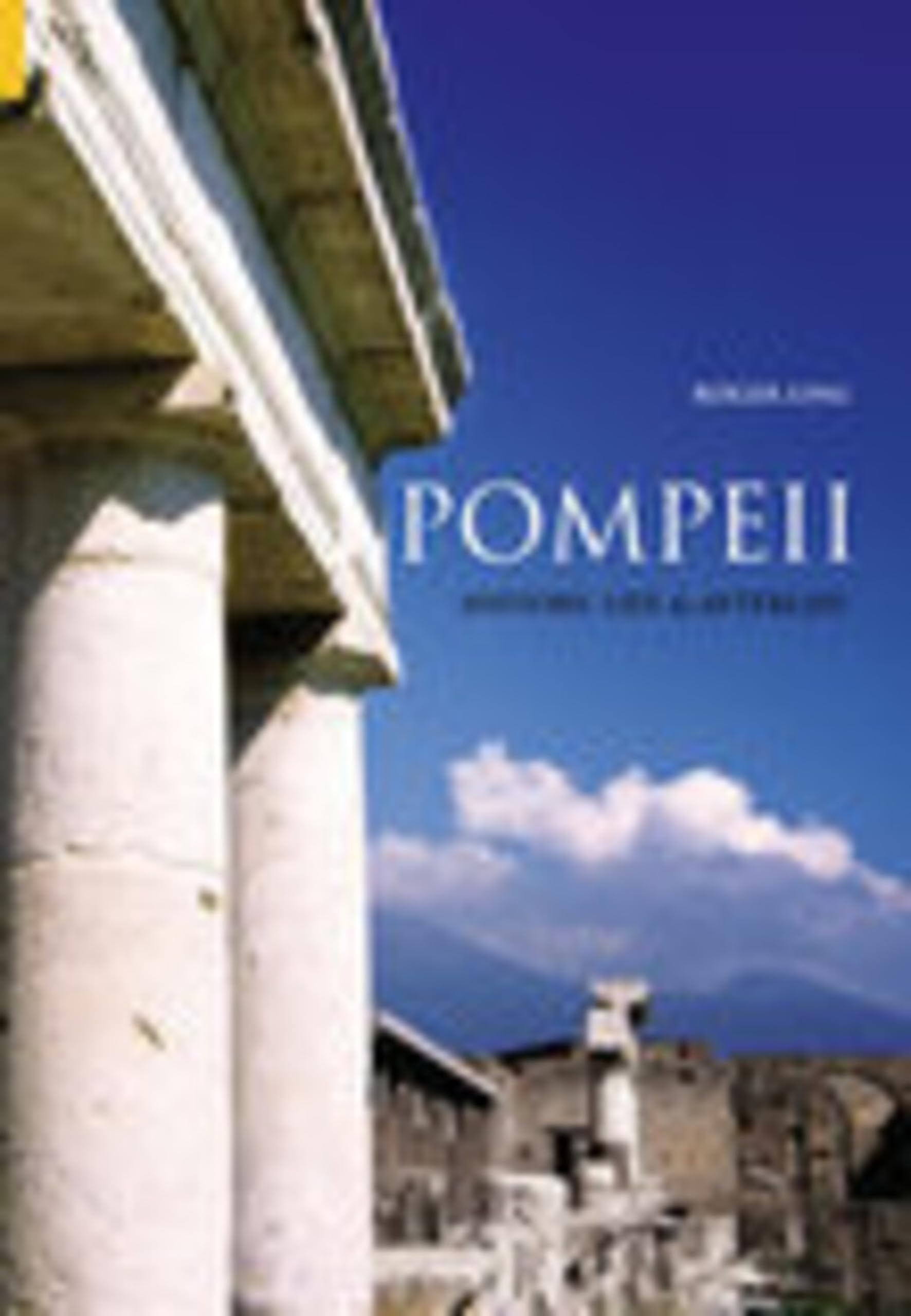Pompeii: History, Life and Afterlife By Roger Ling