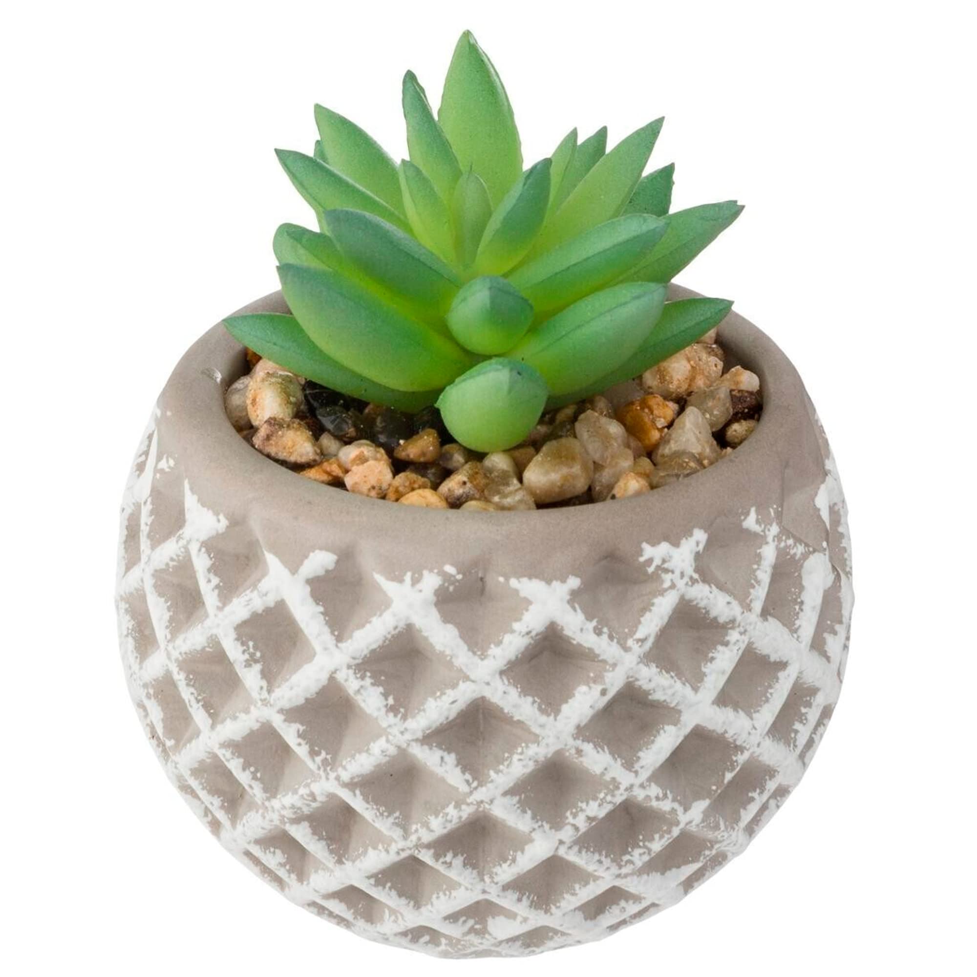 ATMOSPHERA CREATEUR D'INTERIEUR Succulent Cement Pot