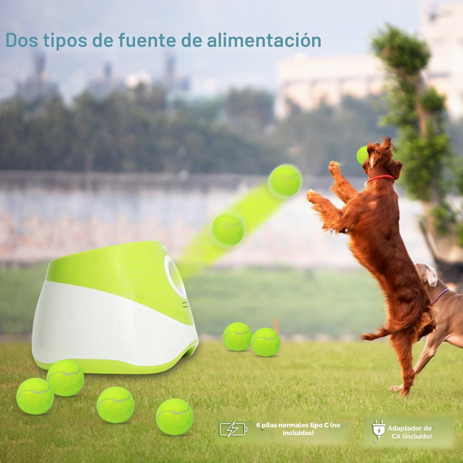 Jovani - Lanzador automático de Pelotas para Perros, Distancia de 10 a 30 pies, Juguete Interactivo para Perros pequeños para Interiores y Exteriores, Incluye 9 Pelotas de Tenis (2 Pulgadas), mantén