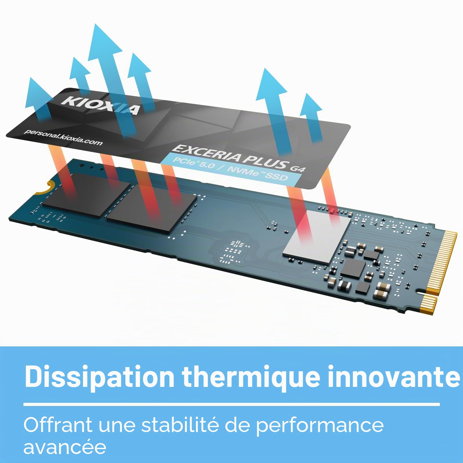 Kioxia Lvd10z001tg8 Drives Allo Stato Solido 1 Tb M.2 Pci Express 5.0 Nvme Bics Flash Tlc (kioxia Exceria Plus G4 Pcie 5.0 1tb)