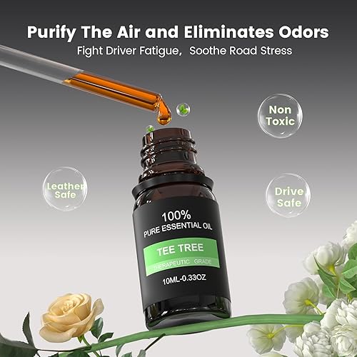 Miniatura 10 de EORRZZY Paquete de dos ambientadores de auto con pinzas para rejilla de ventilación, decorativos, con 12 palitos de recarga, también en oficina,