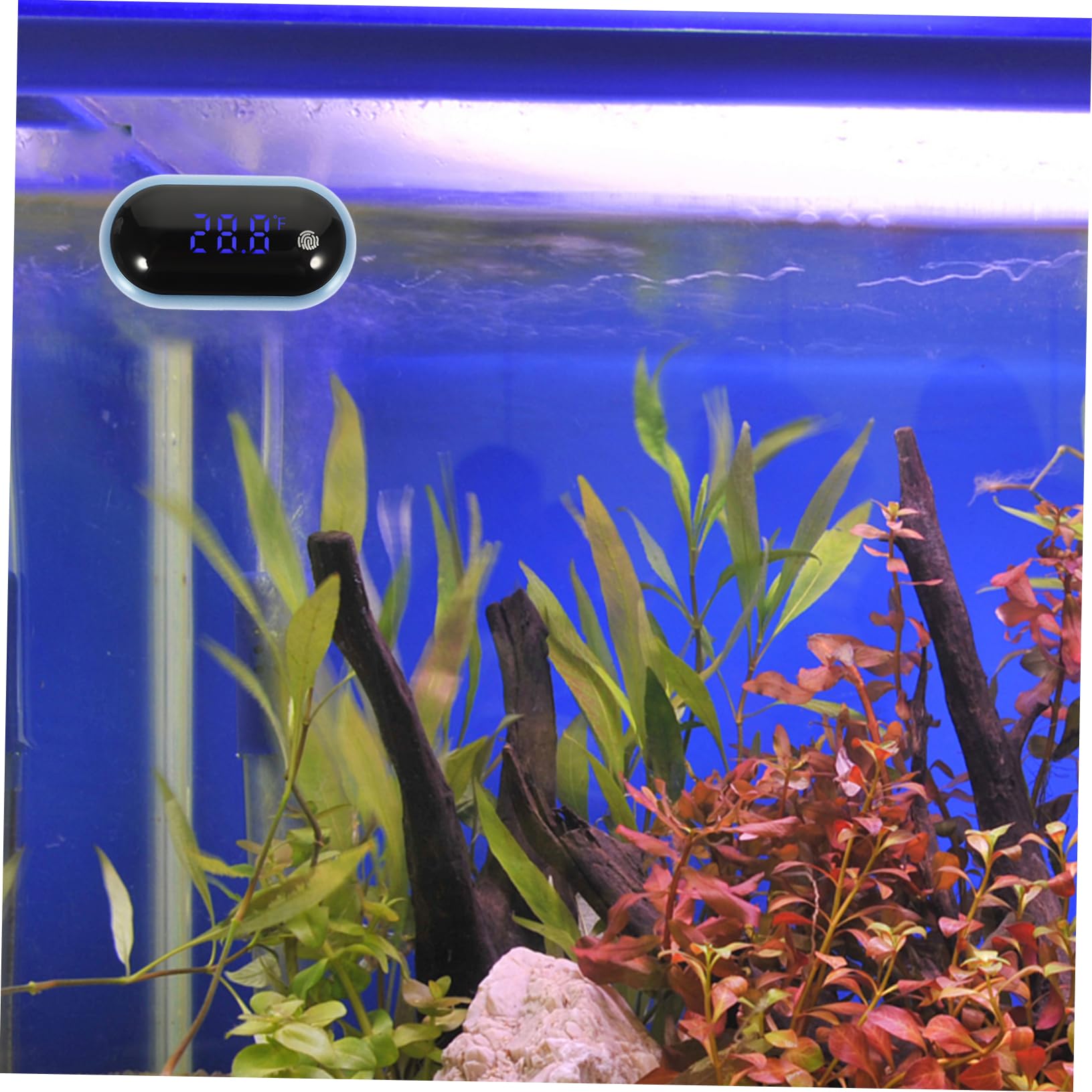 Kisangel 3pièces Thermomètre Numérique De Précision Pour Aquarium Thermomètre Portable Étanche Avec Écran Led Affichage Température Pour Utilisation Intérieure Et Extérieure