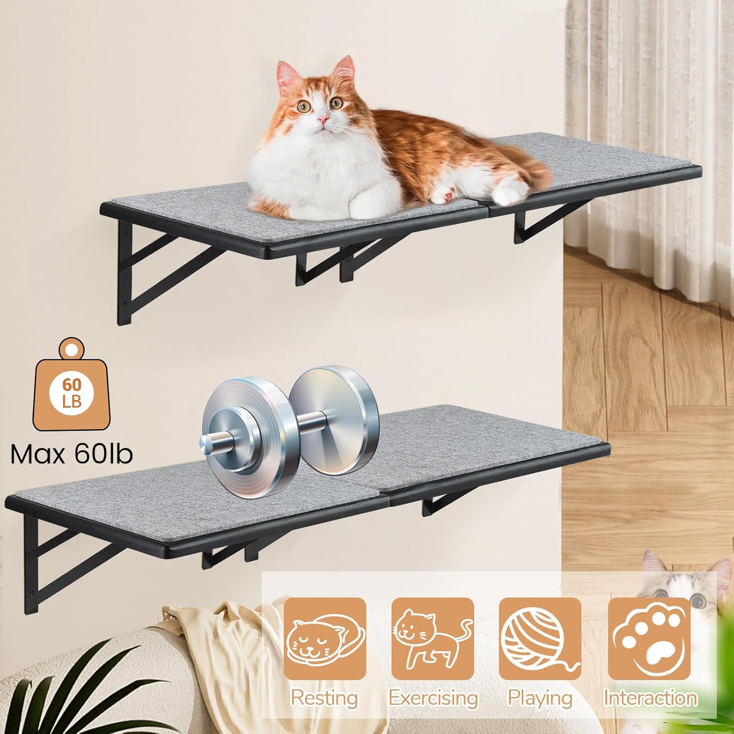 Cat Wall Shelves Set of 4, Purrfect Cat Furniture Set - 4 Piece Wooden Wall Shelves with Scratching Pad, Sleeping & Playing Area, Window Perch for Large Cats - Black