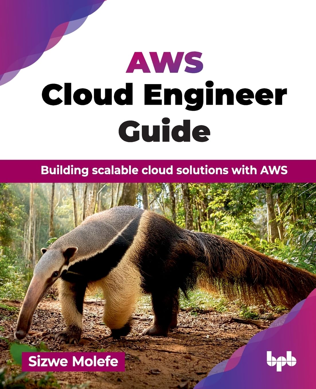 AWS Cloud Engineer Guide: Building scalable cloud solutions with AWS (English Edition)