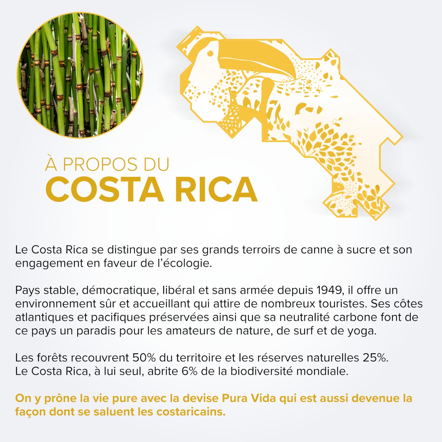 PURA VIDA - Rhum XO - Rhum Vieux - Médaille d’OR au Rum and Cachaça Masters 2025 - 40 % Alcool - Origine : Costa Rica - Bouteille 70 cl
