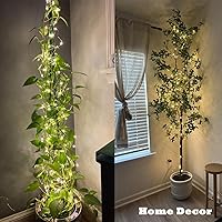 Vista 3 de Beingreat 2 Pack USB Plug-in Fairy Lights, 33ft 100 Mini LED Copper String Lights with 8 Modes, USB Starry Lights for Bedroom Wedding Christmas