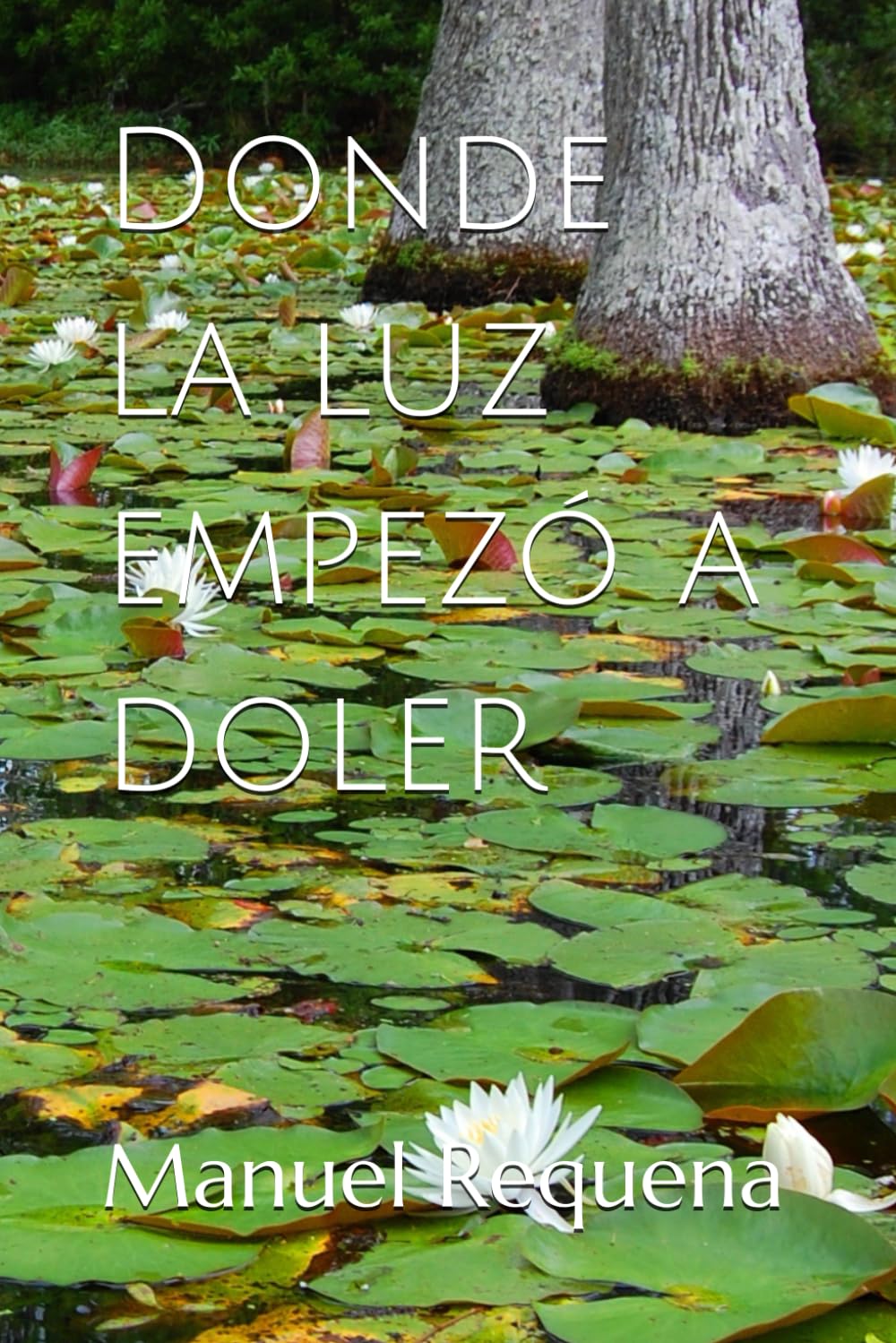 Donde la luz empezó a doler