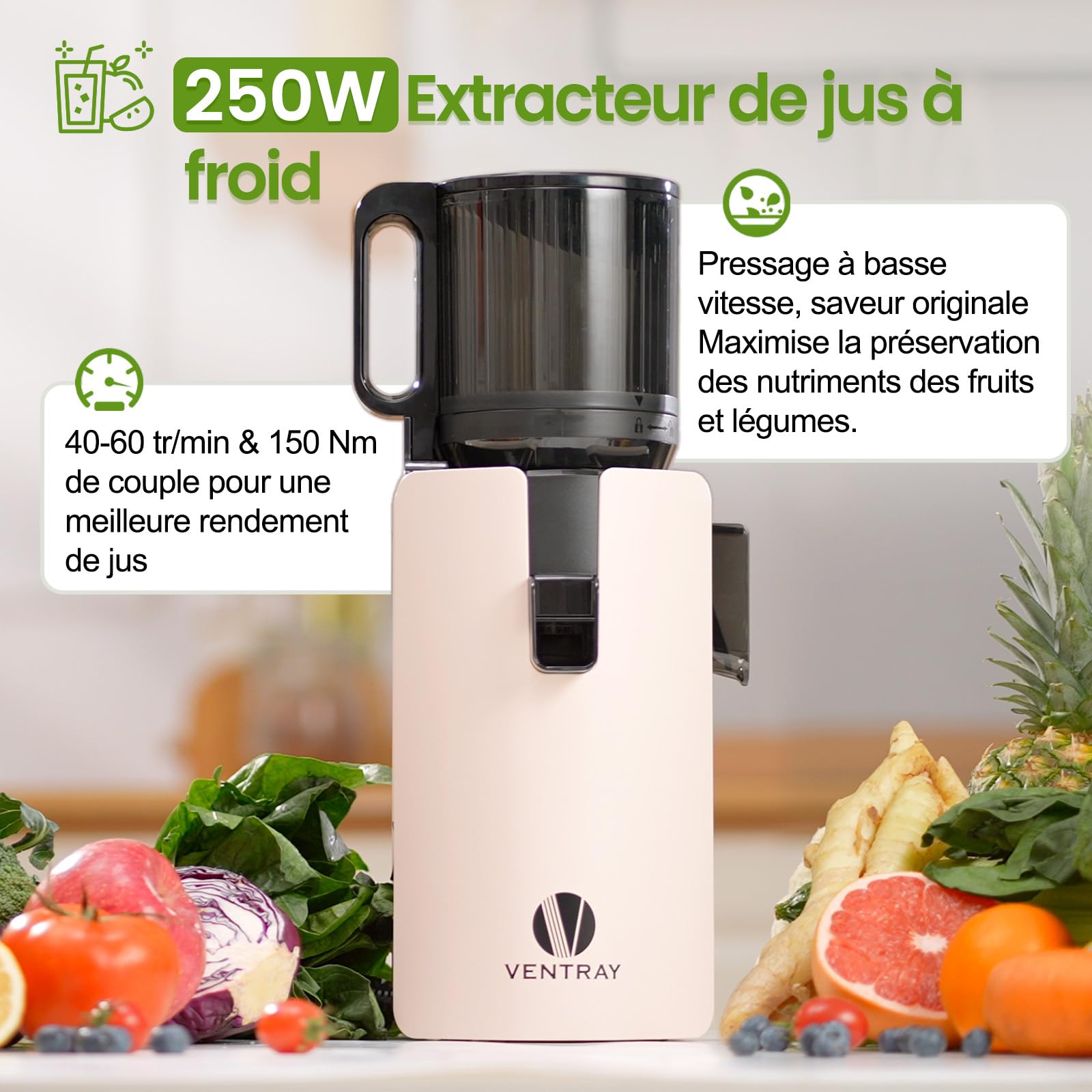 Ventray Extracteur de Jus Lent Presse à Froid 250W Grande Goulotte 120mm Double Filtration Sans BPA Ivoire