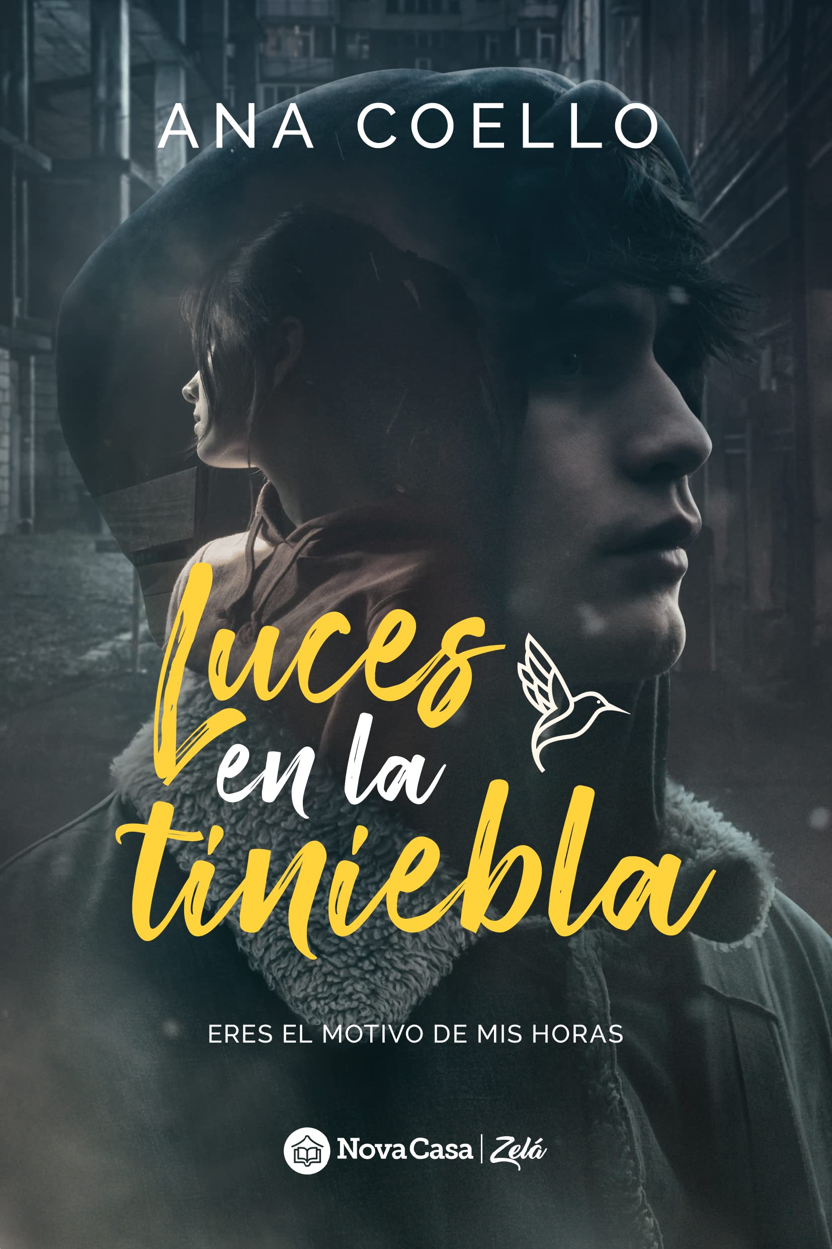 Luces en la tiniebla: romance juvenil (Spanish Edition)