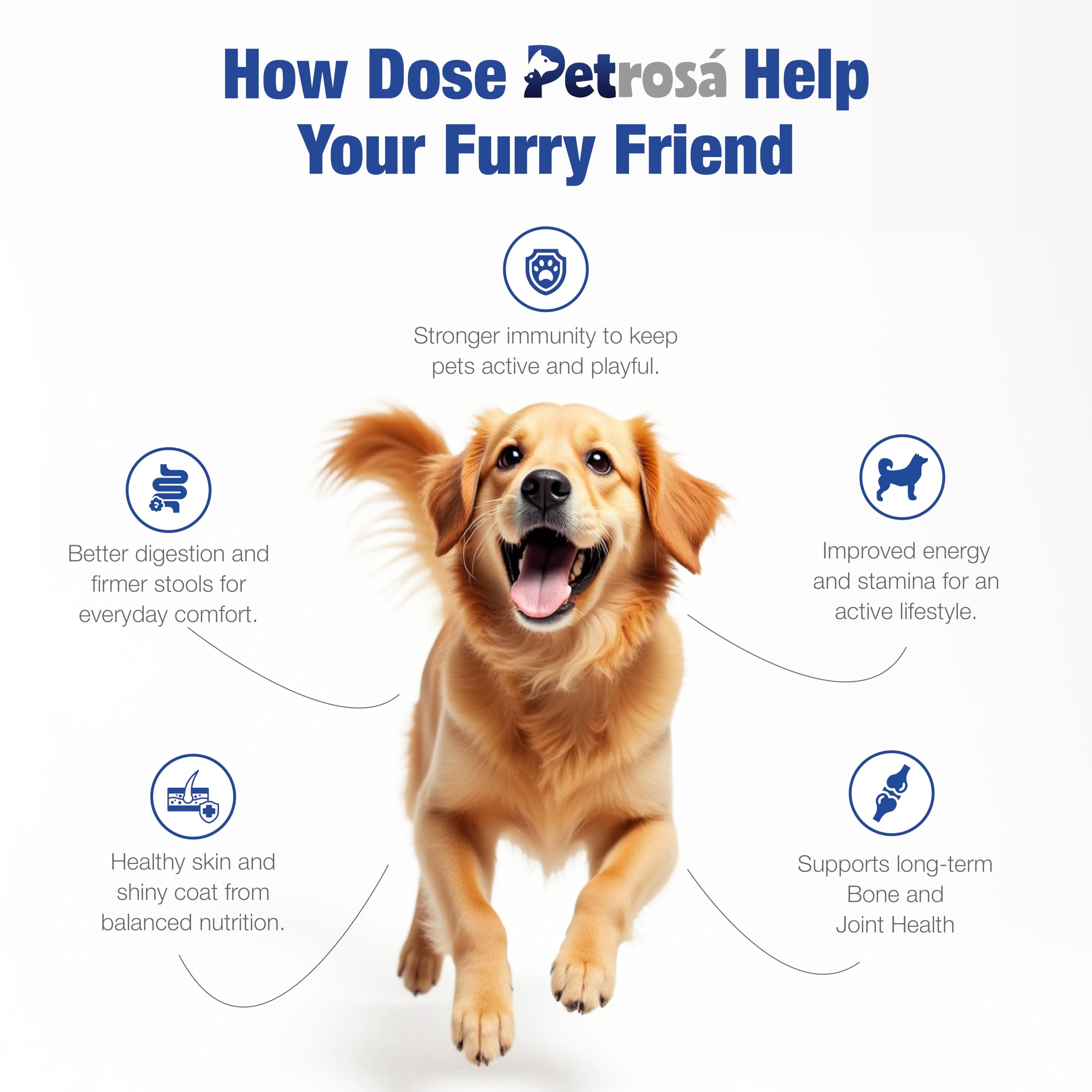 Petrosa Large Breed Starter Dog Food for Mother & Puppy (2 Weeks to 2 Months) | 1 Kg | 32% Protein, DHA & Prebiotics | Complete Early-Life Nutrition for Safe Weaning, Growth & Immunity | EU Nutrition 2