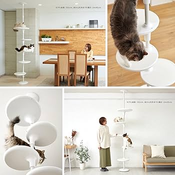 Amazon.co.jp: 【OFT】 ホワイトポール 本体 突っ張り式