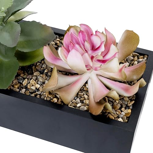 Miniatura 4 de MyGift Arreglo artificial surtido de suculentas en caja rectangular de madera negra, decoración de plantas falsas