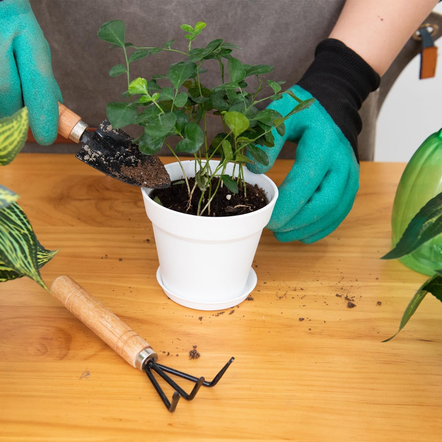 June Fox 60 Pack Small Plant Pots Indoor 4 Inch Plastic Planter with Drainage Holes and Saucers Premium Decorative White Plant Pot for Succulent, African Violets, Flowers, Plants