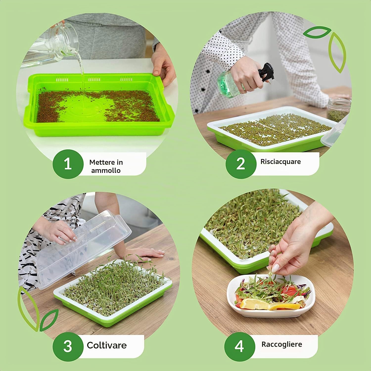 KAHEIGN 6Pz Vassoi per la Germinazione Dei Semi con Coperchio, 32cm x 26cm Vassoio di Germinazione di Grande Capacità Senza BPA Propagatore Idroponico Sano Con 24 Carte per Piantare