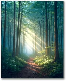 VETEB Paint by Numbers Kit for Adults Beginner Morning Sunlight Filtering Foggy Forest Summertime DIY Canvas Paint by Numbers Acrylic Oil Painting for Home Wall Decor Gifts 16x20 Inch