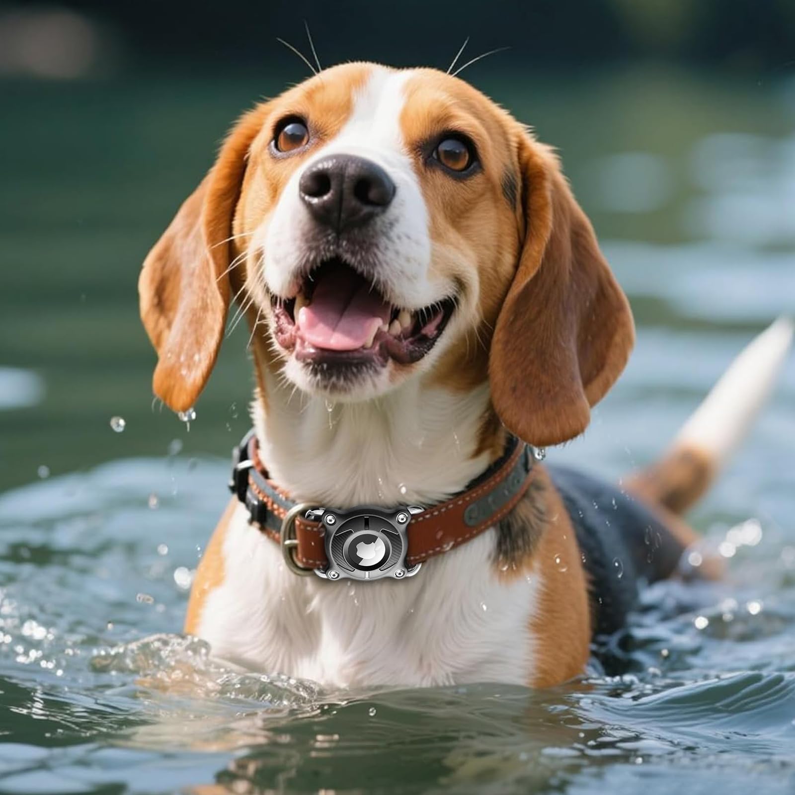 Impermeabile Collare Cane con Fibbia Metallica Staccabile Porta Cane 4 cm di Larghezza Collare GPS per Cani, Compatibile con Apple (Nero)