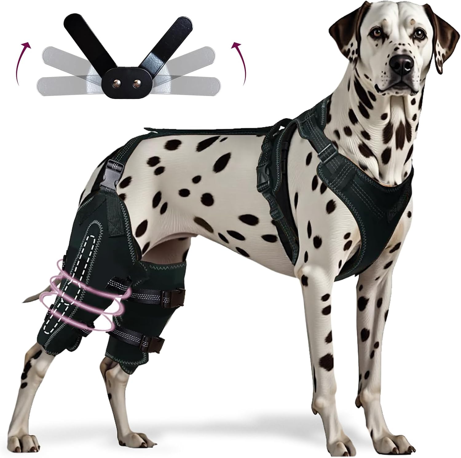 Dog Knee Brace for ACL, CCL, Arthritis, Joint Pain – Hinged Leg Support for Torn Ligament, Luxating Patella, Rear & Hind Legs – Orthopedic Compression & Mobility Recovery Wrap (Both Legs Extra Large)