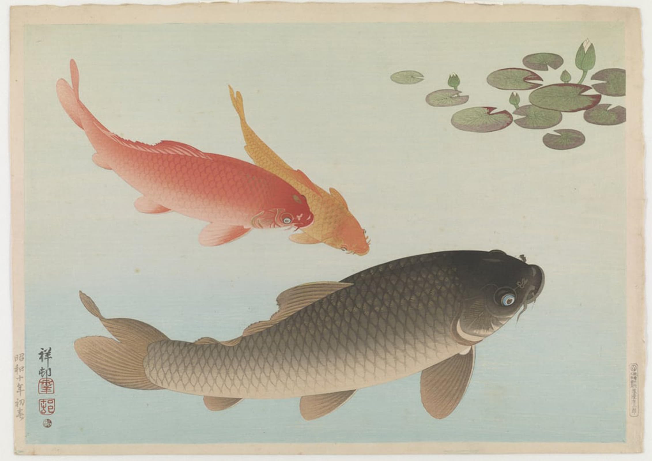 ARTXLXXBN Famous Painting Art Wall Decor Abstract Art Picture Iris Mid Th Century by Ohara Koson Animal Pictures for Home Decor 60x90cm