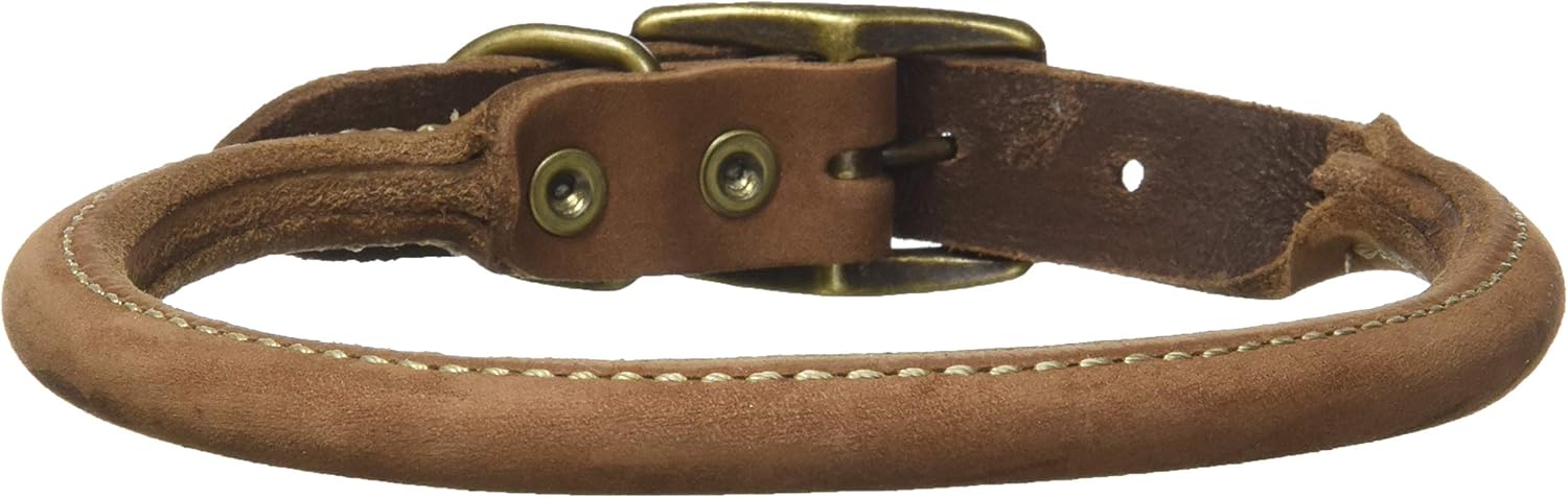 rustic leather dog collar