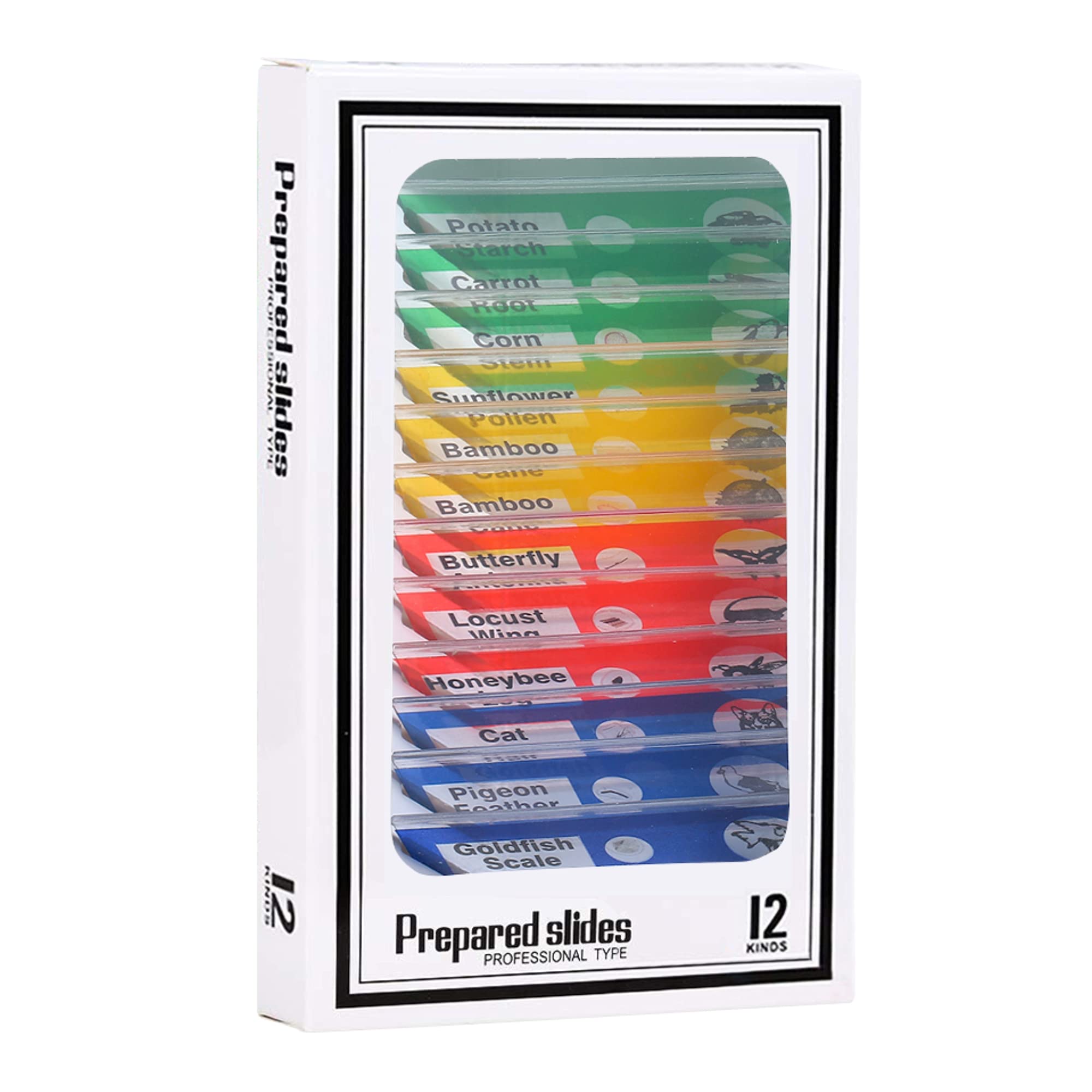 Old Ted Microscope Slides Kit. 12 Piece Prepared Specimen Slides