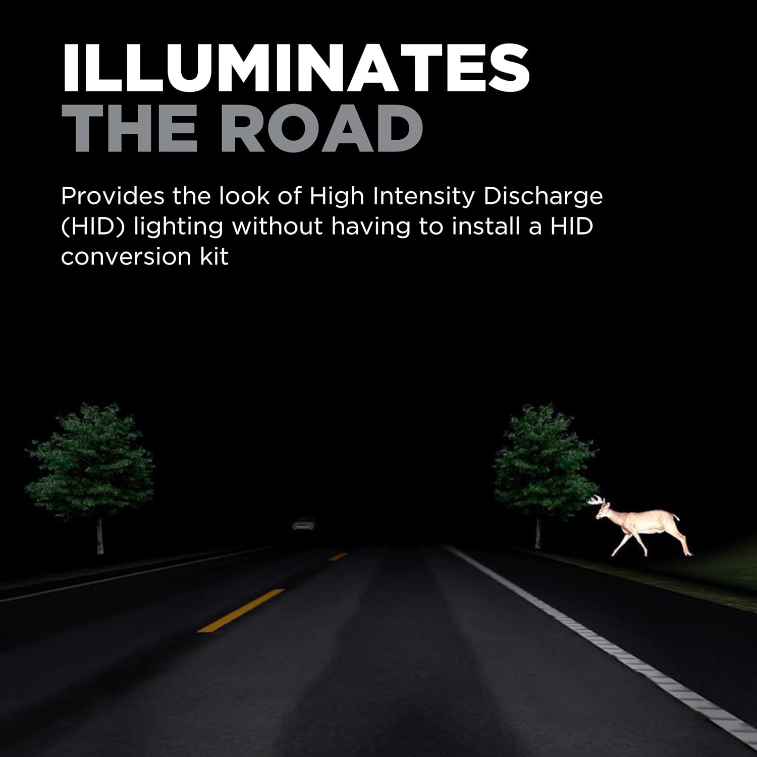 Wagner TruView PLUS BP9003TVX2 Multi-Purpose Light Bulb Card of 2