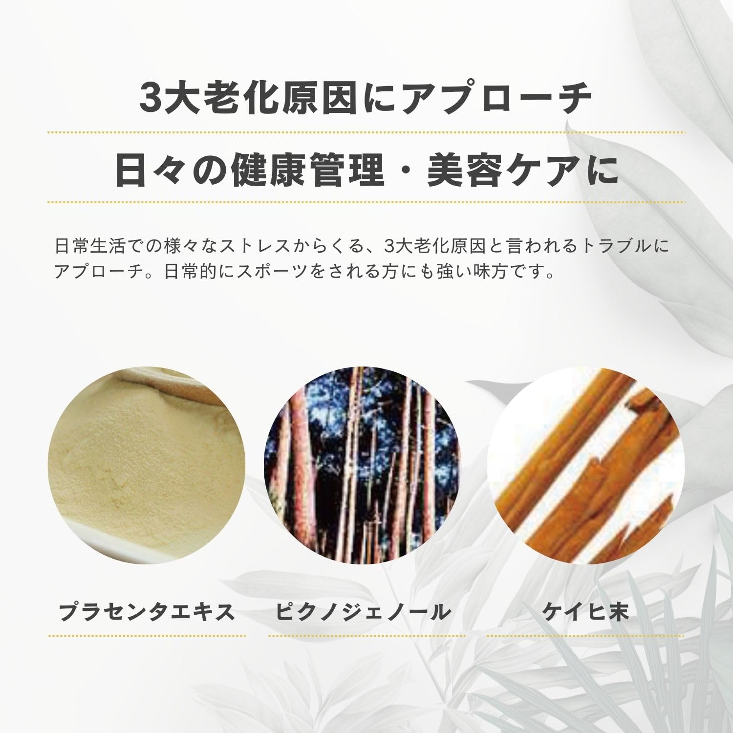 Amazon | 【正規品】株式会社AXISオンラインショップ サポート 