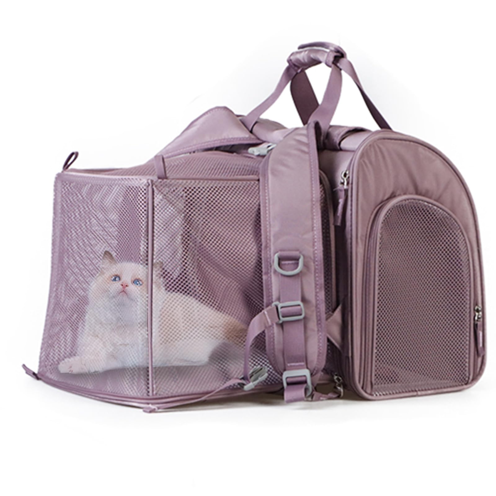 Zaino per Cani Gatti Estensibile, Trasportino Gatto Portatile, Traspirante Pieghevole con Guinzaglio di Sicurezza per Viaggi Escursioni Fino a 8 Kg