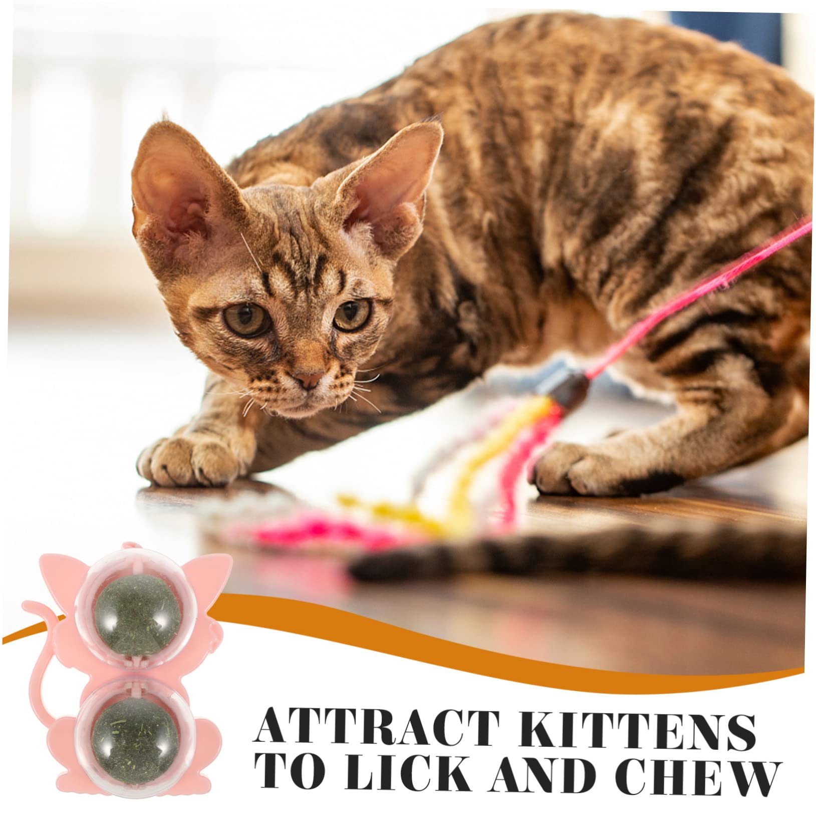ABOOFAN 6 Pièces Jouet pour Chat Mini Boule Murale à l'herbe à Chat Bulles d'herbe à Chat Jouets pour Chats D'intérieur Ensemble De Jeu Intérieur Support Faire Tourner Mâcher Plastique