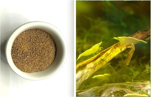 Miniatura 2 de Shrimpspase - Juego de nutrición mensual para camarones de acuario + paquetes de camarones de oro amarillo, neocaridina, acuario de agua dulce y