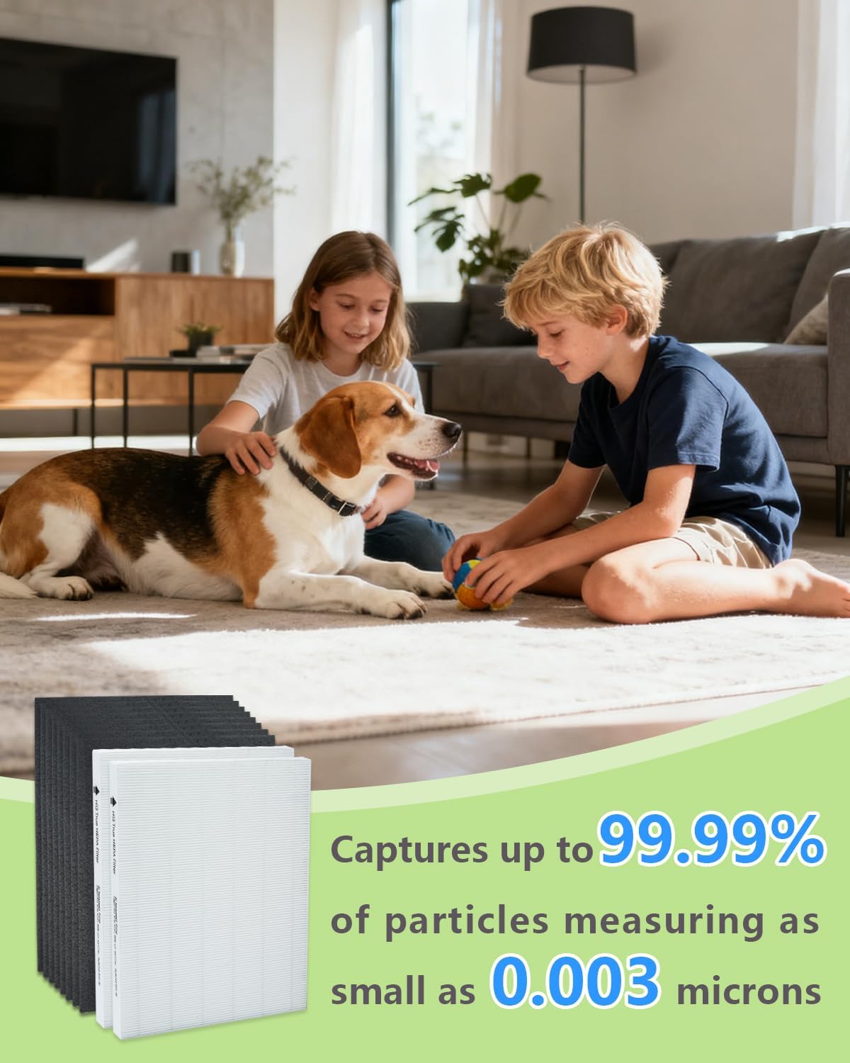 BBT BAMBOOST D360 Replacement Filter D3 Compatible with Winix D360, 2 HEPA Filters & 8 Activated Carbon Pre-filters, Part # 1712-0101-02 (10Pack)