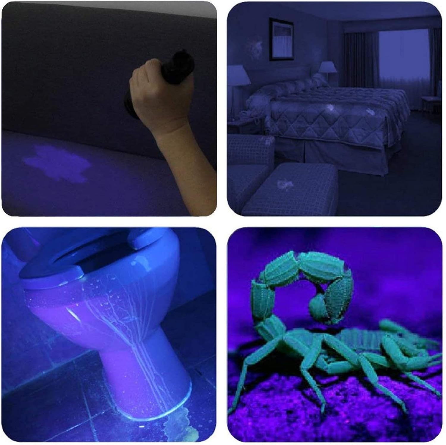 Vansky 12LED UV Blacklight Flashlight detecting pet stains on a wooden floor