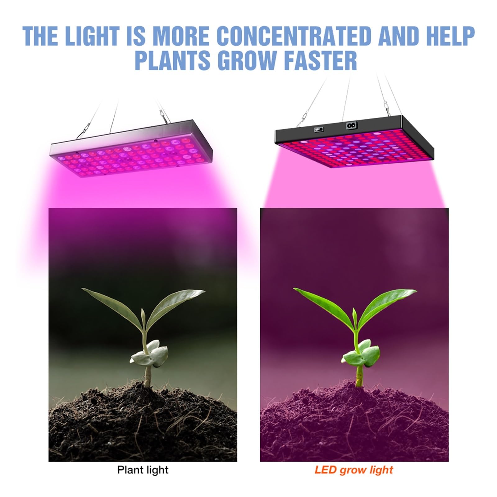 Luz LED de cultivo 2835, lámpara Phyto espectro completo, bombilla luz 2000W 3000W for plantas interior, invernadero, plántulas, luces plantación Iluminador hortícola(3000W-169leds)