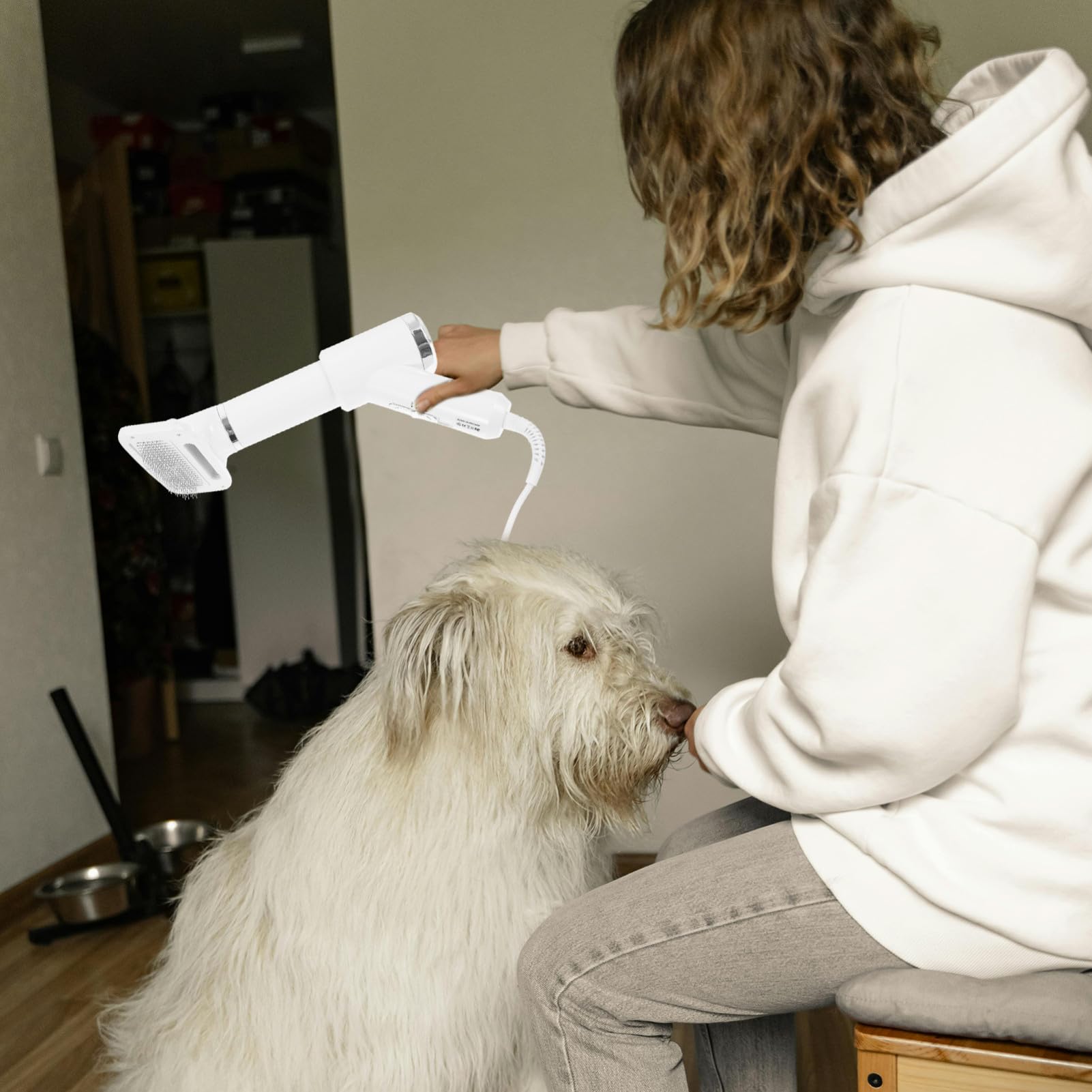 Brosse Séchoir à Poils de Chien, Peigne de Toilettage Électrique | Chat et Chien, Plastique Blanc, Format Portable, Fonction Démêlante et Séchage Chaud