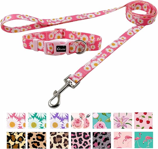 Olahibi Daisy Pattern Dog Collar and Leash Set,Durable Polyester Collar and 150CM Matching Lead for Small Dogs.(S, Pink Daisy)