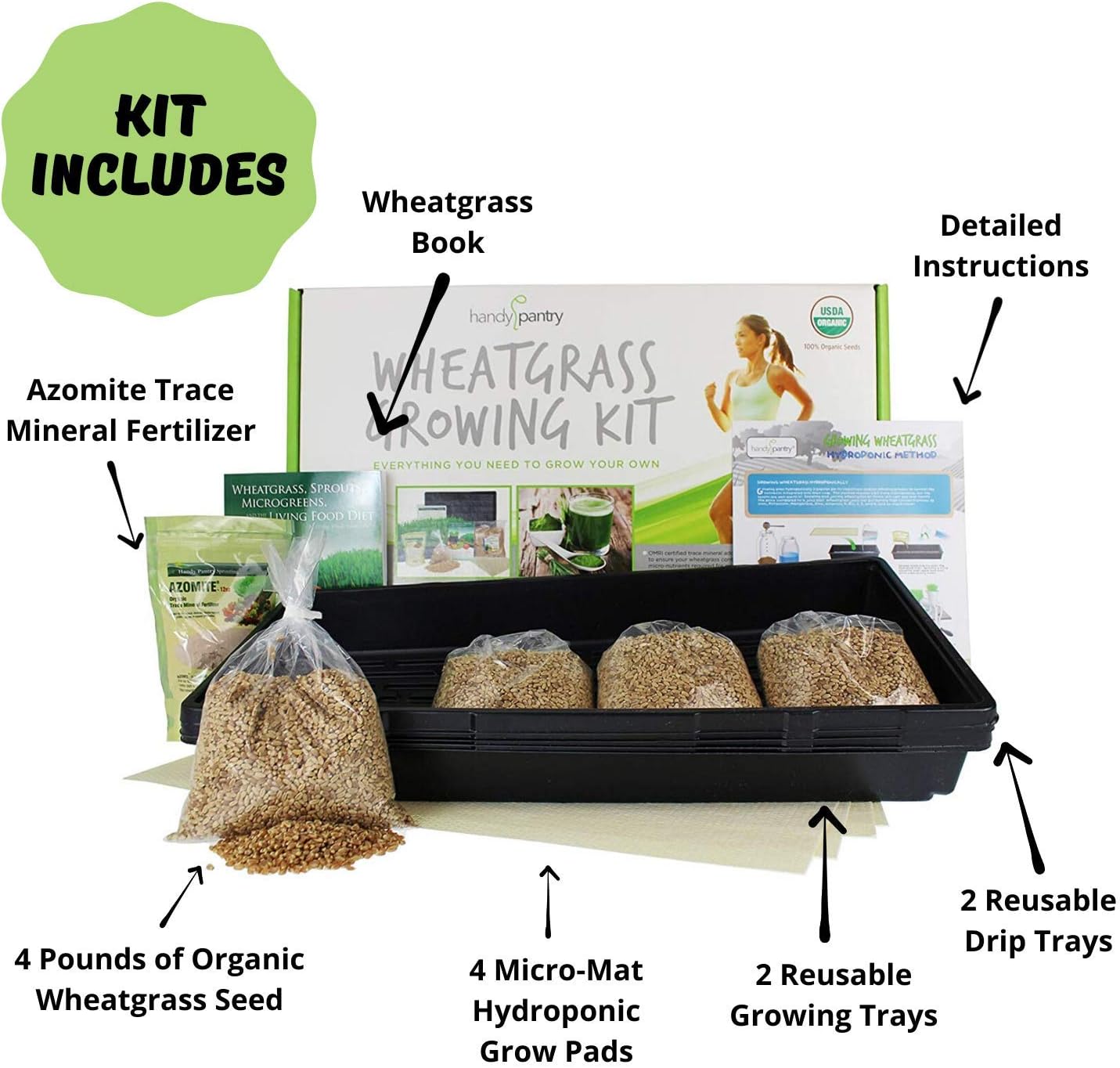 Handy Pantry Wheatgrass Growing Kit - Hydroponic - Certified Organic - Non-GMO - Easy & Fast to Grow Wheat Grass at Home for Wheatgrass Shots & Cat Grass