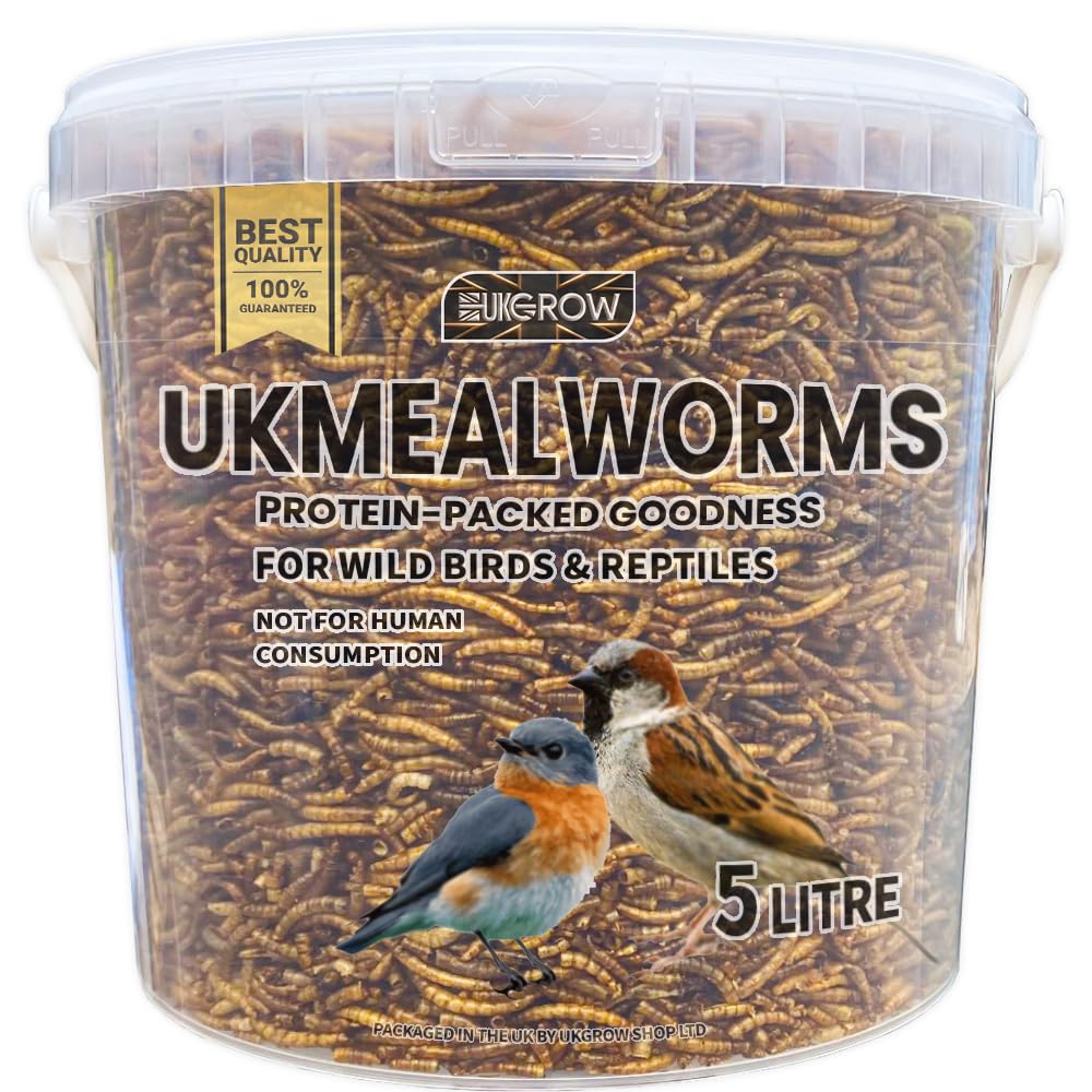 UKGROW Mealworms for Wild Birds - 5L Strong resuable Tub| Premium Bird Food Mealworms | Nutritious Dried Mealworms for Birds