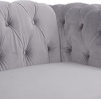 Vista 12 de RARZOE Moderno juego de sofá de 2 piezas, naranja, espuma, sofá biplaza y sofá Chesterfield